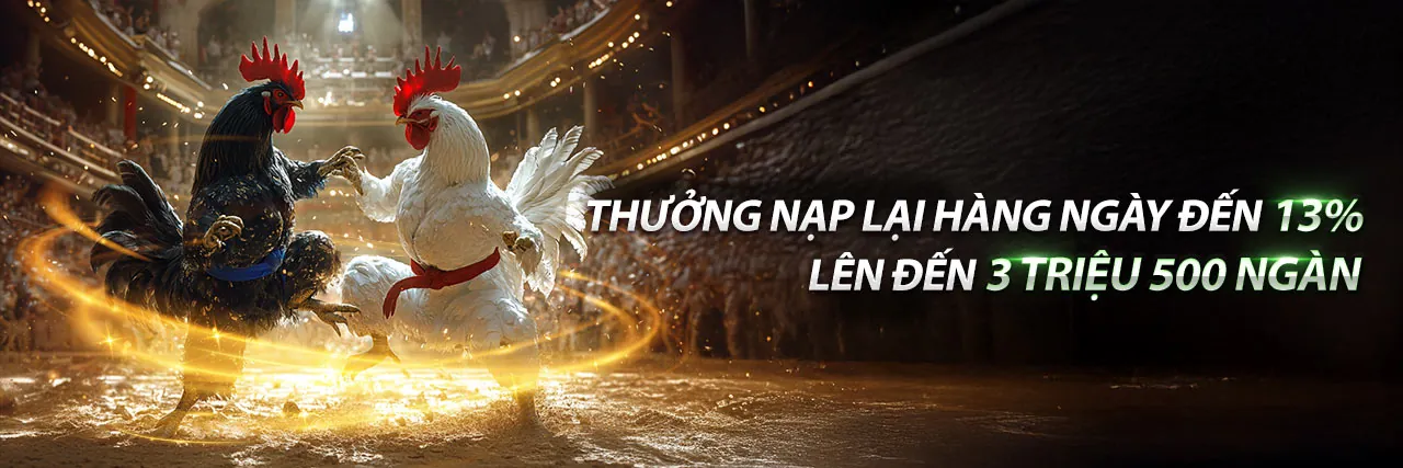 Sân đấu đá gà Thomo C3 trận 21